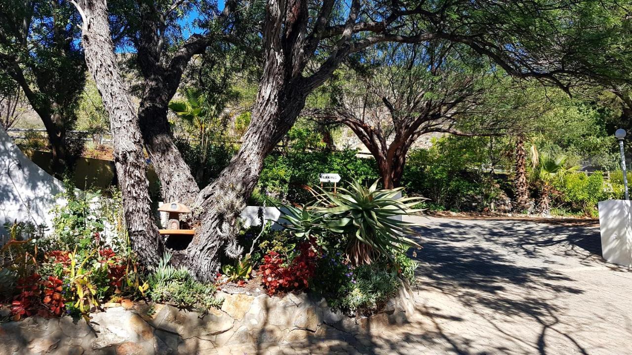 Apartamento Montagu Little Sanctuary - Hot Spring Access At Reduced Price Exterior foto